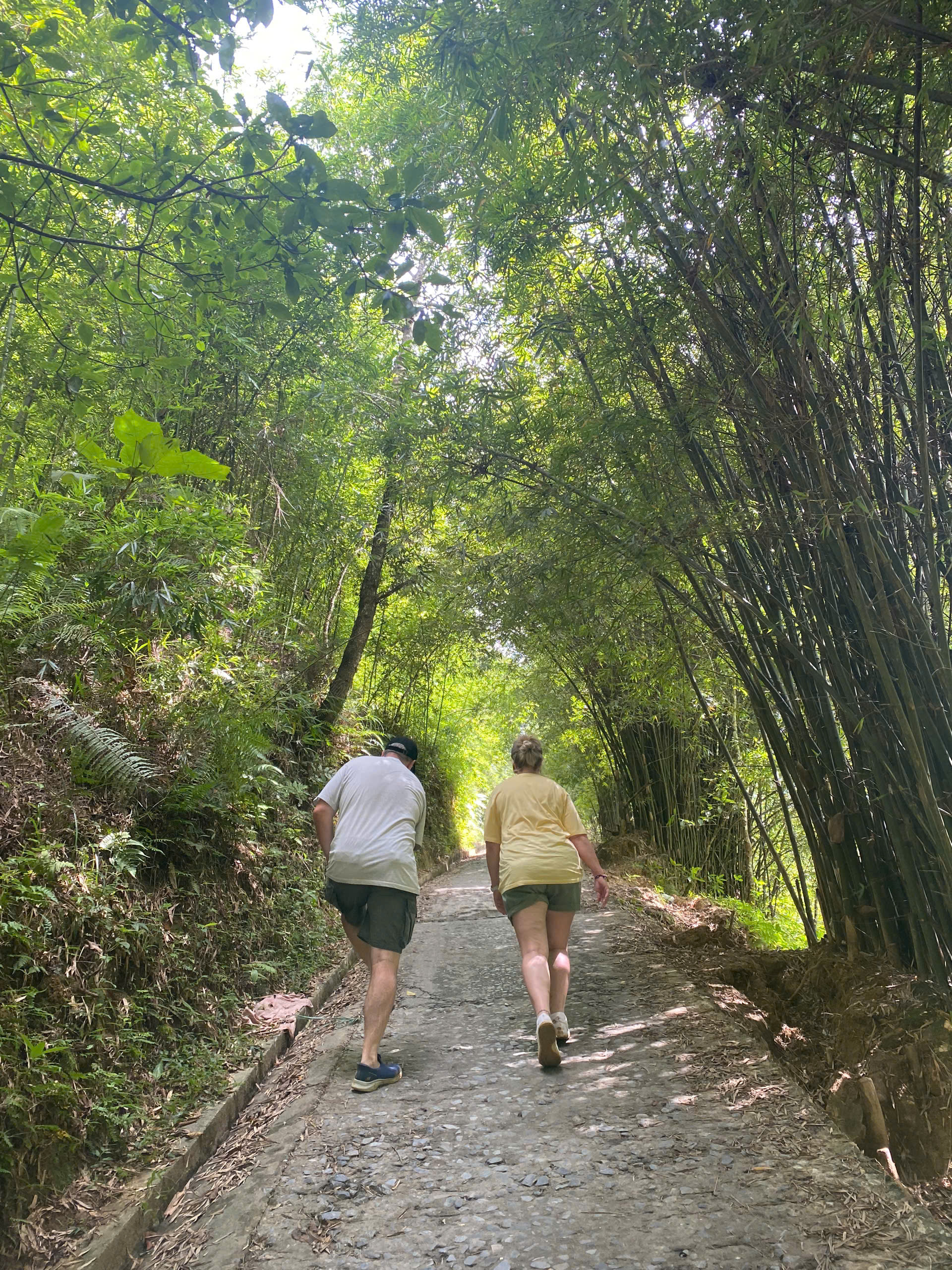 Half-Day Sapa Trekking Tour to Lao Chai & Ta Van